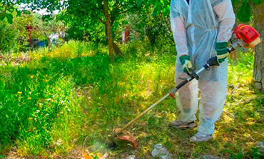 desbroces de parcelas