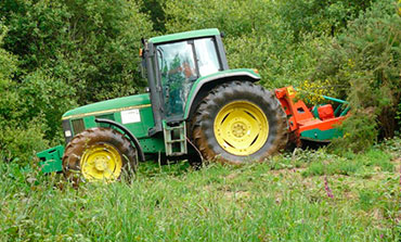 Limpieza de parcelas